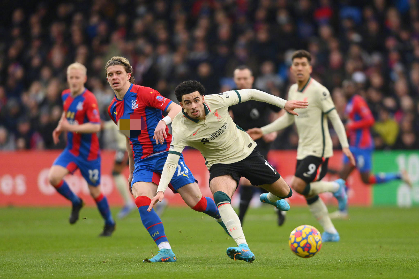 皮特森的惊 皮特森的惊