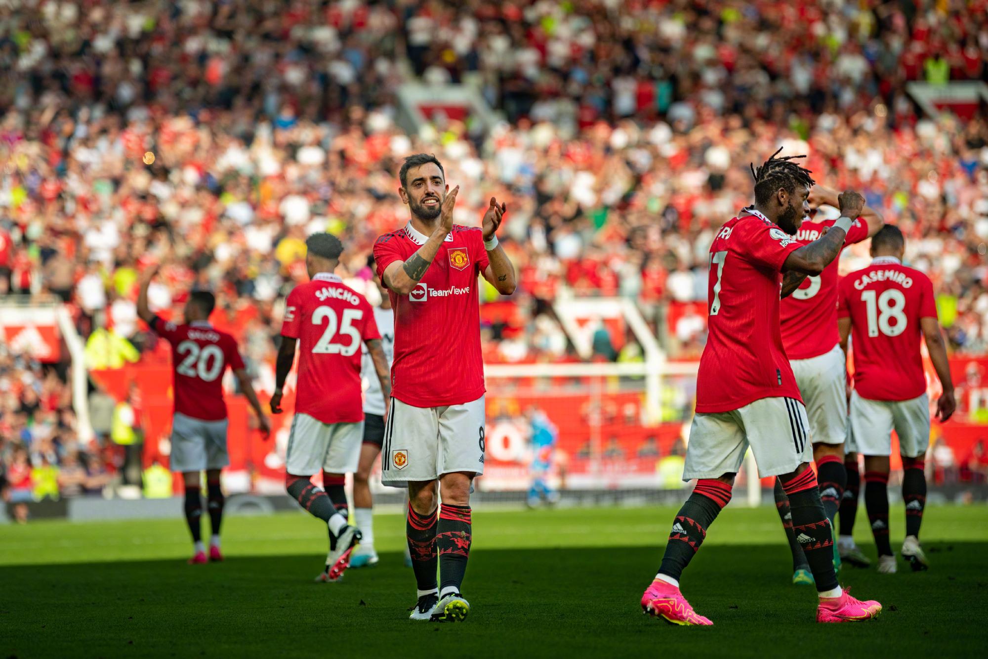 以其稳健的 以其稳健的